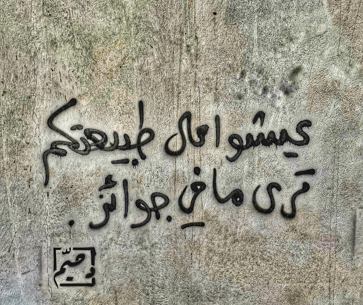 m69mf's tweet photo. والله والله مرتين  
لحفر بئر بإبرتين 
وكنس أرض الحجاز طرا 
في يوم ريح بريشتين 
وحمل ثورين باليدين 
ونزع طودين شامخين 
وغسل عبدين أسودين 
حتى يصيرا كأبيضين 
ولا وقوفي على باب اللئيم 
يضيع فيه ماء عيني

#علمتني_الحياه 🕊 https://t.co/6jJBtRntz0