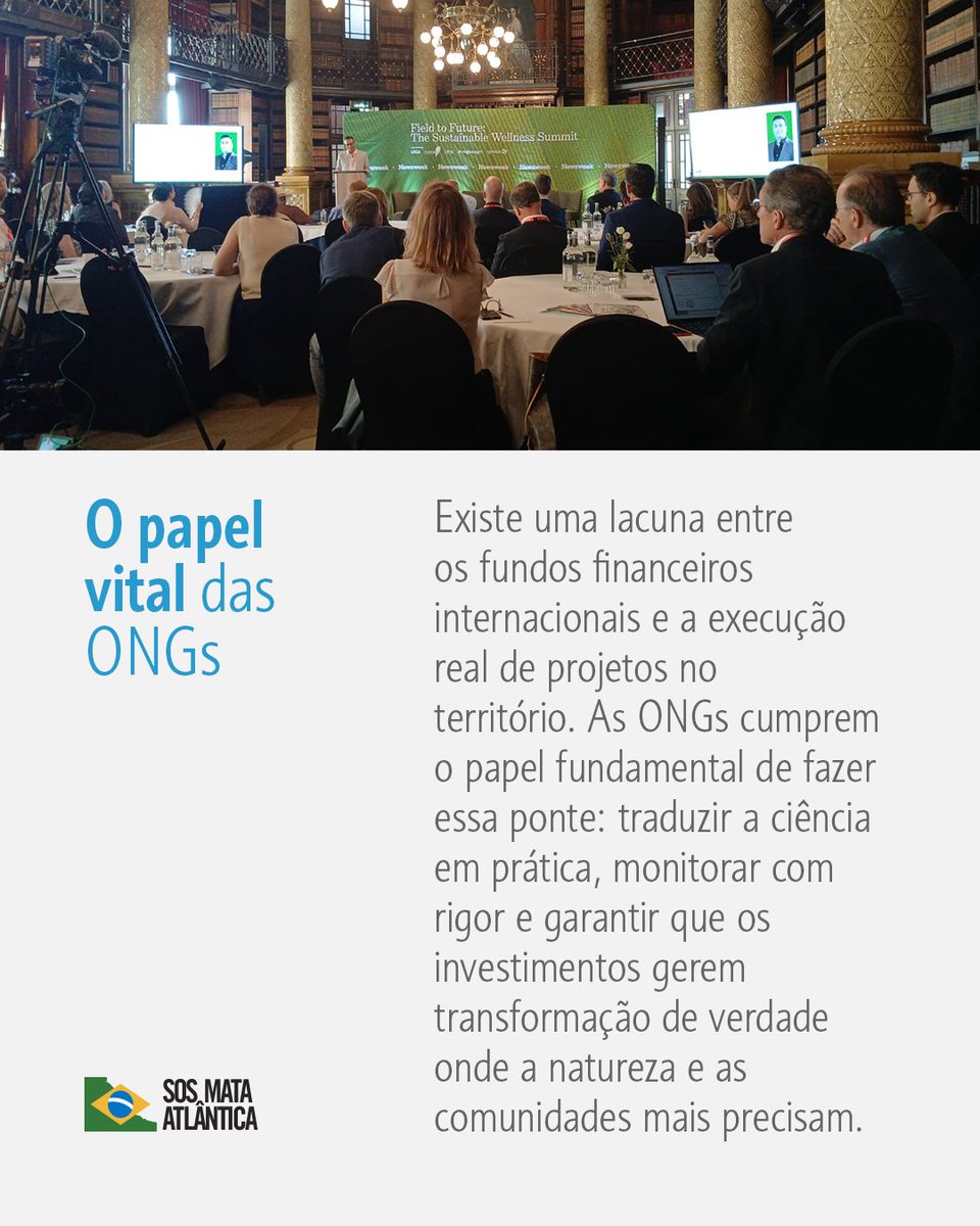 sosma's tweet photo. No último mês, nosso Diretor-executivo Luís Fernando Guedes Pinto esteve presente na London Climate Action Week e trouxe para casa consigo grandes ensinamentos e percepções. Passa para o lado para saber mais sobre os temas abordados. 👉 #SOSMataAtlântica #LondonClimateActionWeek https://t.co/5Gn6NUVtdC