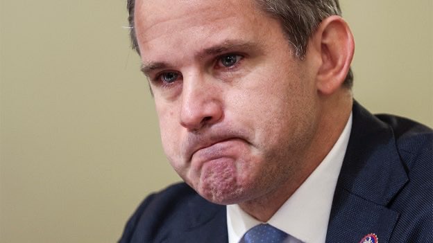 CatDaddy19645's tweet photo. @AdamKinzinger You’re such a despicable piece of shit.  Go cry some more. Pussy. https://t.co/O31LaBwiwQ