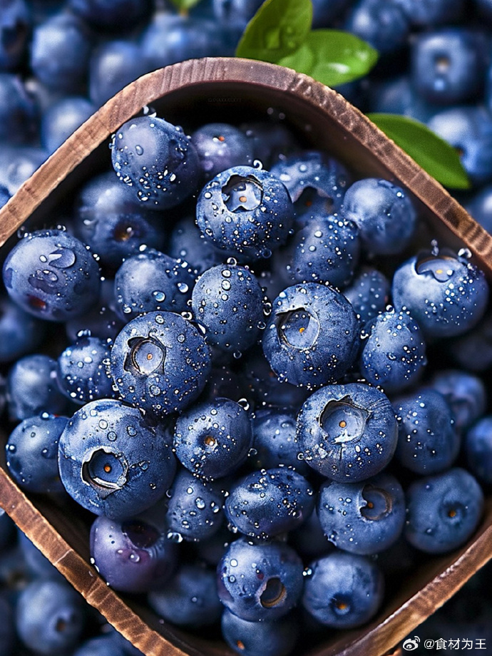 Carol19Costa's tweet photo. Just tried fresh wild blueberries! Burst with natural sweetness u0026 tang, plump texture, zero additives. Perfect for smoothies or snacking—must-buy for fruit lovers! https://t.co/J5sp9enGjd
