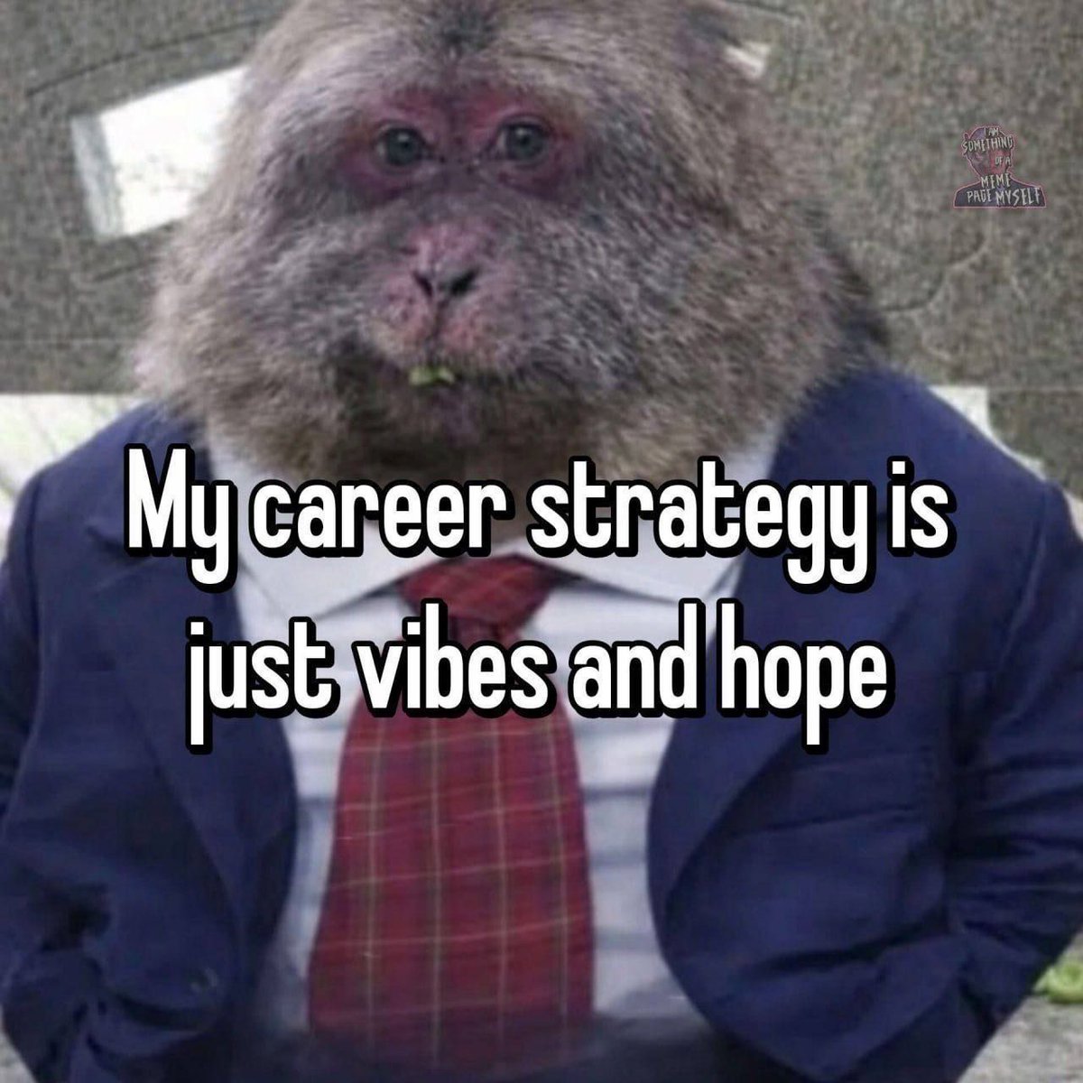 memechaotic's tweet photo. Hope will never be lost! https://t.co/GU9sO7MJk0