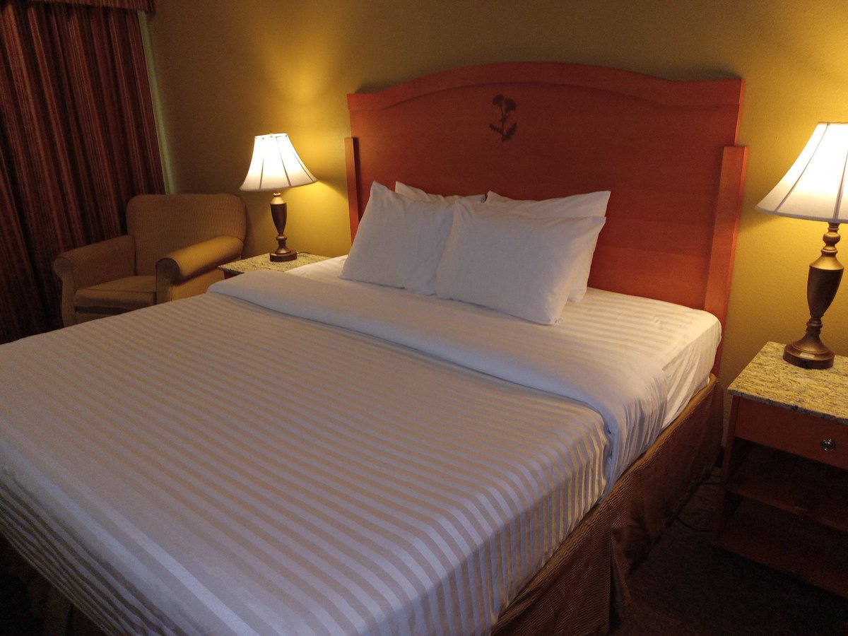 JOHNBROUMAS's tweet photo. Richmond BC Friday July 3 2026 my King 👑 Hotel room today. Breakfast at the Hotel. 
Central Mall Walmart shopping today. McDonalds, 2 Cheese Burgers, Strawberry 🍓 Pie 🥧 for dinner. Dr Pepper Chocolate Bar for Toronto Blue Jays baseball today. 🙂🥚🥚🍞🧁🧃🧁🧃🍔🥤🍫⚾⚽🇨🇦🎪🏨🏟️ https://t.co/uEBLzDODTe
