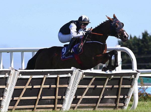 gelliott_racing's tweet photo. Newbrook Diamond gets his day down in @WexfordRacecour winning for owners @KtdaRacing and Nick Courtney, ridden by @DannyGilligan8 to a 9 length victory 👏🏻

📸 Healy Racing https://t.co/CkAZFoGC8H