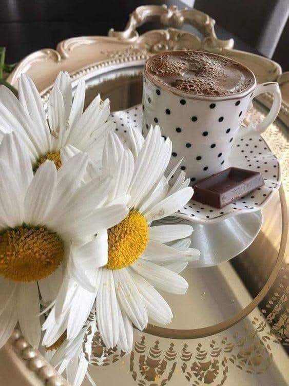 semaceyhanlassi's tweet photo. Kalbi yumuşak Kelâmı kibar,

Hali huzur veren,

Güler yüzlü insanları yoldaş eyle

Yâ RABBİ! https://t.co/teGgAYkGLc