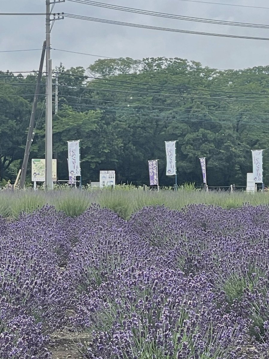 ahmetsrmt's tweet photo. アレックスなのがいい味でてる
お前の万バズと腕ガトで稼がせてもらったわ https://t.co/IidQqUSWtW