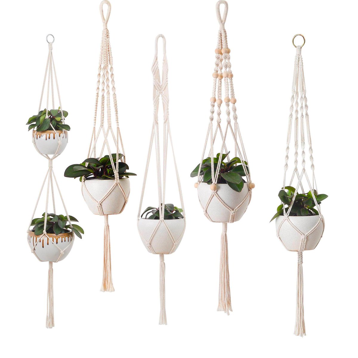 EmmaHarpermvxr's tweet photo. [Just finished my DIY macramé plant hanger—turning ordinary rope into a cozy home decor piece!  #DIYCrafts]， https://t.co/iSO8XkZkjN