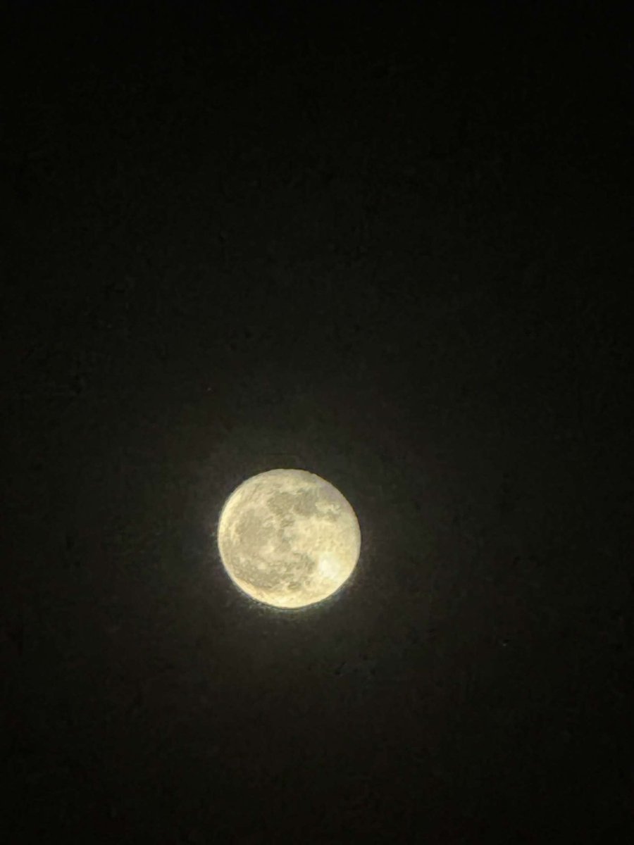 imNeil_'s tweet photo. يذكرني القمر ظلك عجب ياللي ظلالك نور
 انا اللي ما عرفت الليل لولا عتمة اهدابك
جلست اناظرك مارف لي جفن تقل مسحور 
اقول ان الجمال انتي وكل العشق باسبابك
هقيت اني ملكتك مادريت ان الاماني غرور 
وانك في يدي لين انتحابي الوقت واقفا بك
                                ❤️ https://t.co/Vsc9ComsMk