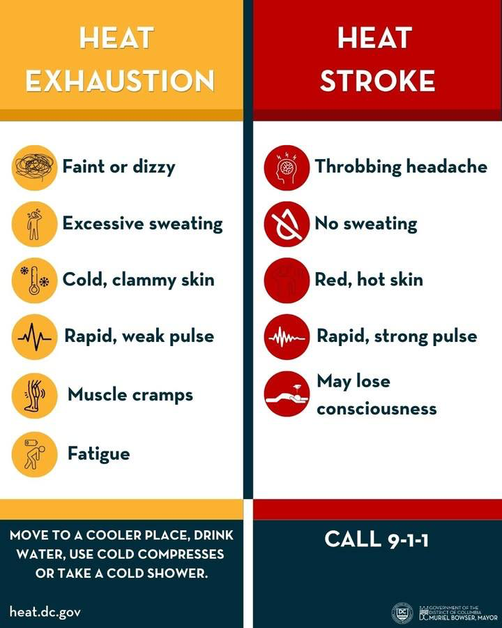 DC_HSEMA's tweet photo. Many people know heat can be dangerous. Fewer know how to recognize when it can become a medical emergency. 

Know the difference between Heat Exhaustion and Heat Stroke - and what to do for each. 

Learn more about heat safety at https://t.co/o7T50Zdlhw. https://t.co/kvkGmiF3Kp
