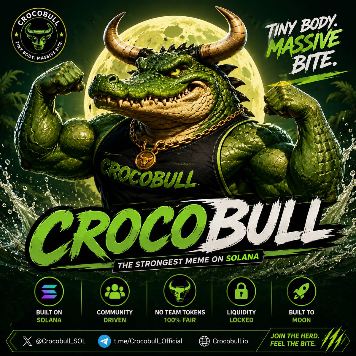 crocobull_sol's tweet photo. Buy now⬇️
https://t.co/kPRj0EHa0R

Ca:2GDkJfEDzAzPAKab6jz1DMp1uBzdAAmfpcmjezUEpump https://t.co/q4coCzqzPw