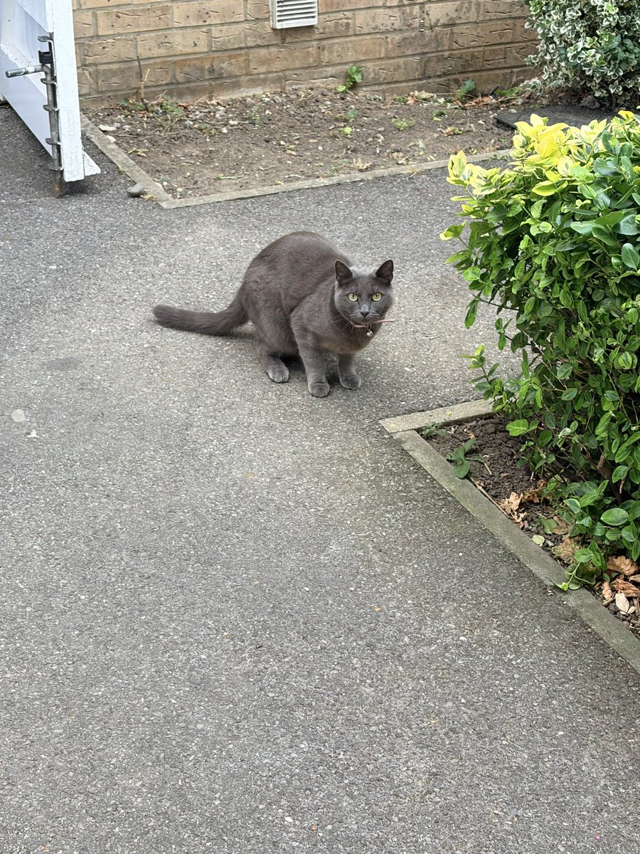 6held's tweet photo. @a____clown would hurt like a bitch. haha speaking about bitch look at this pussy i seen today https://t.co/PUiZPm6Se6