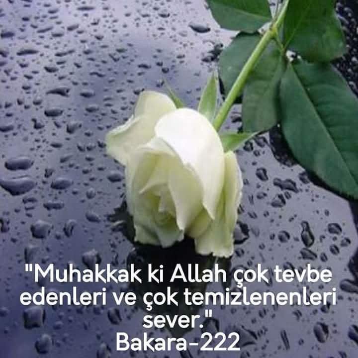 semaceyhanlassi's tweet photo. Domatesi kestim dışı kırmızı içi ise kar beyaz. Meyvenin,   sebzenin genetiğiyle oynanmış, ama baktımki; insanlığın  genetiğiyle daha çok oynanmış. Vâ! Esefa! Vâ! Hâsretâ!  Dedim.... https://t.co/ICxX6SaM89