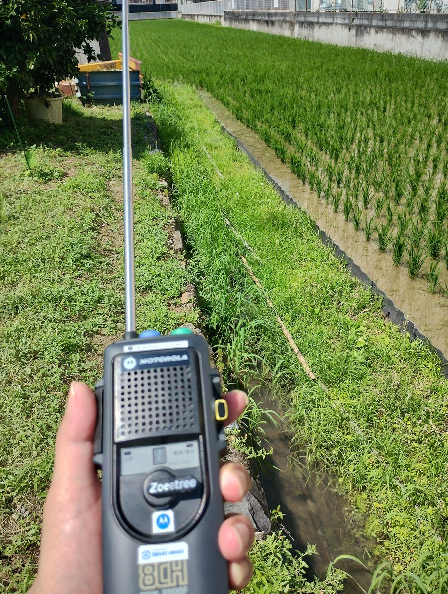 dellpc45's tweet photo. きょうとＪＰ４０５の独り言~
おはようございます😀
さぁ~
本日も始まりました。
みなさん
   笑顔  元気   感謝でまいりましょう〜
良い週末をお過ごし下さいね😊❤️
今シーズンは、１１mで運用させて頂きます.....
間もなく０１xが?????(笑)
本日もお声掛けよろしくお願いします🙇‍♀️ https://t.co/5s9c5Z693k