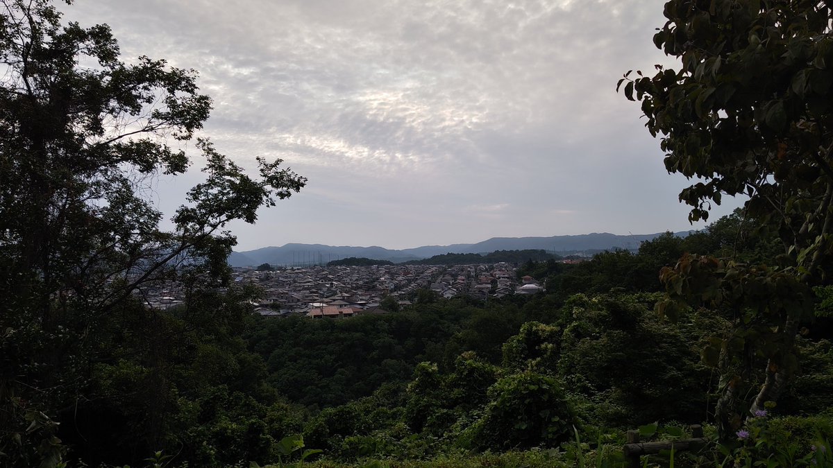 JG3XTZebra's tweet photo. GM 朝散歩完、朝珈琲中。
外気温 21.4℃
川西市 曇り後雨 https://t.co/wXXOxVXeLG