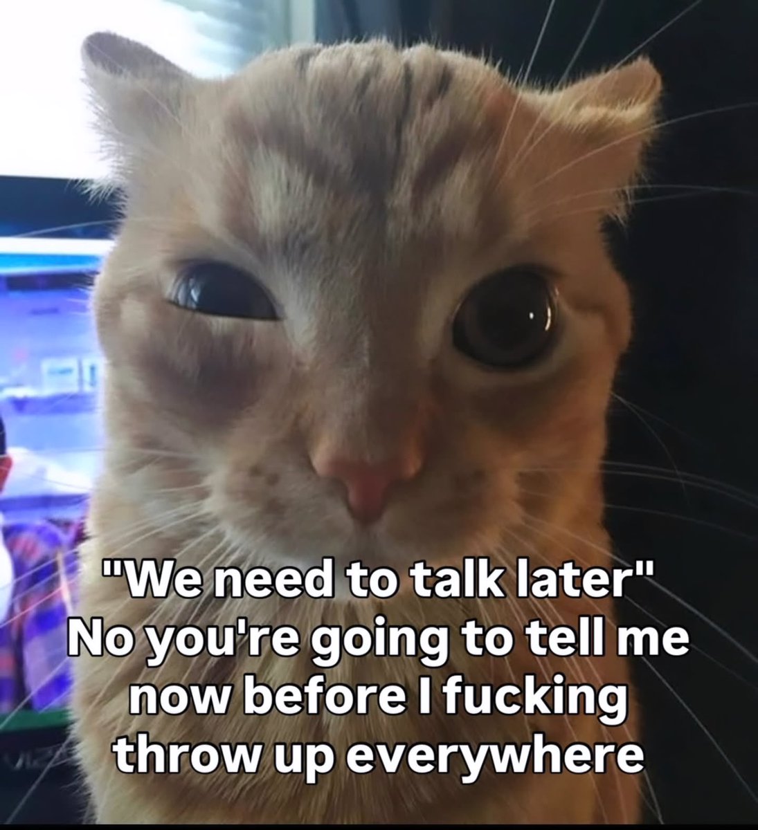 literallymecats's tweet photo. https://t.co/ttxuZKGoaP