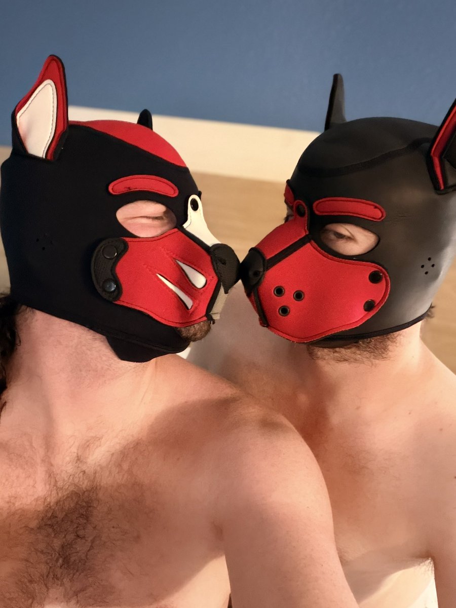 GeorgiaHusky333's tweet photo. I am finally with my man @SakusaroFang over Independence Day weekend! The hoods finally come out and the pants fly off! FUCK YEAH!

#boyfriends #nsfw #pups #hoods #nude #ruff #jocks #cock #ass https://t.co/jU9EWxmbiA