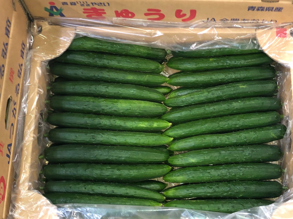 6月中旬以降、堅調な相場が続いている #きゅうり。関東産が漸減する中