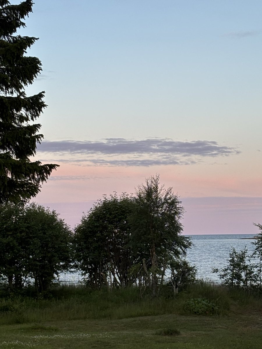 polarsnipa's tweet photo. Fant ei perle i fjor og kom jaggu hit i år. Stilt, egen strand og kan også prate litt med ekornet. Ferie i Sverige https://t.co/SxeJYfosYz