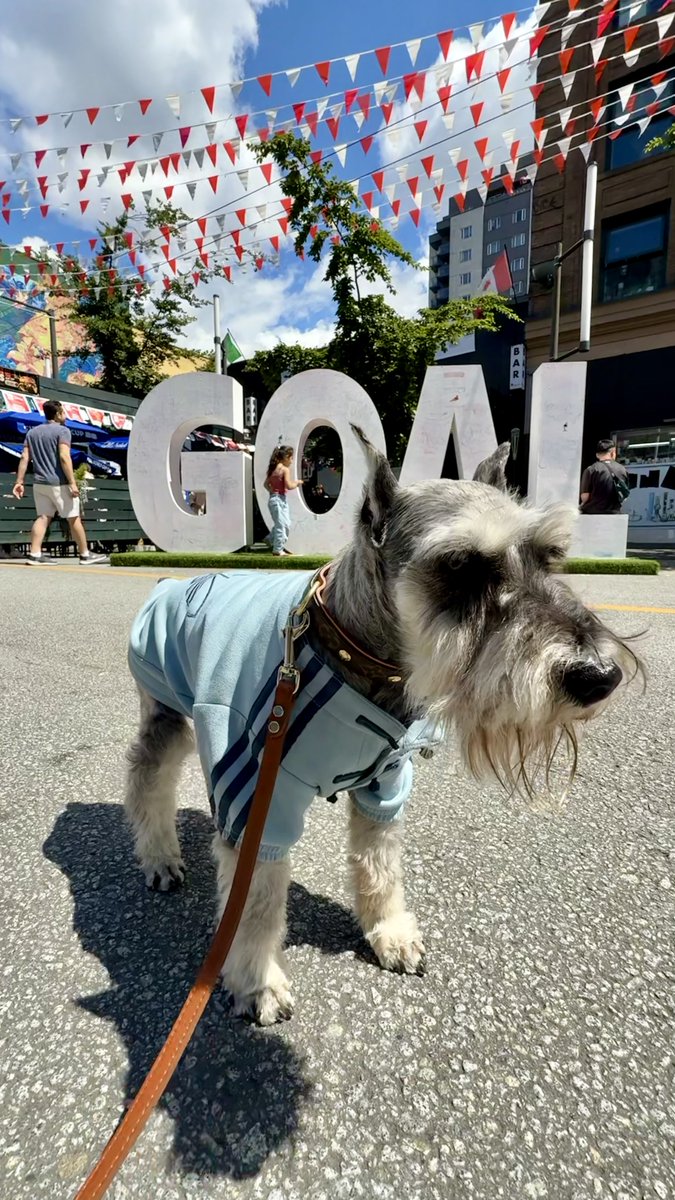 muffinjai's tweet photo. I’ve officially staked my claim as the face of the FIFA World Cup here on Granville Street, posing in front of this giant GOAL to manifest some serious luck for tomorrow. ⚽️
#WorldCup2026 #TeamCanada #GranvilleStreet #SchnauzerModel #GoCanadaGo https://t.co/3oZEEdqzne