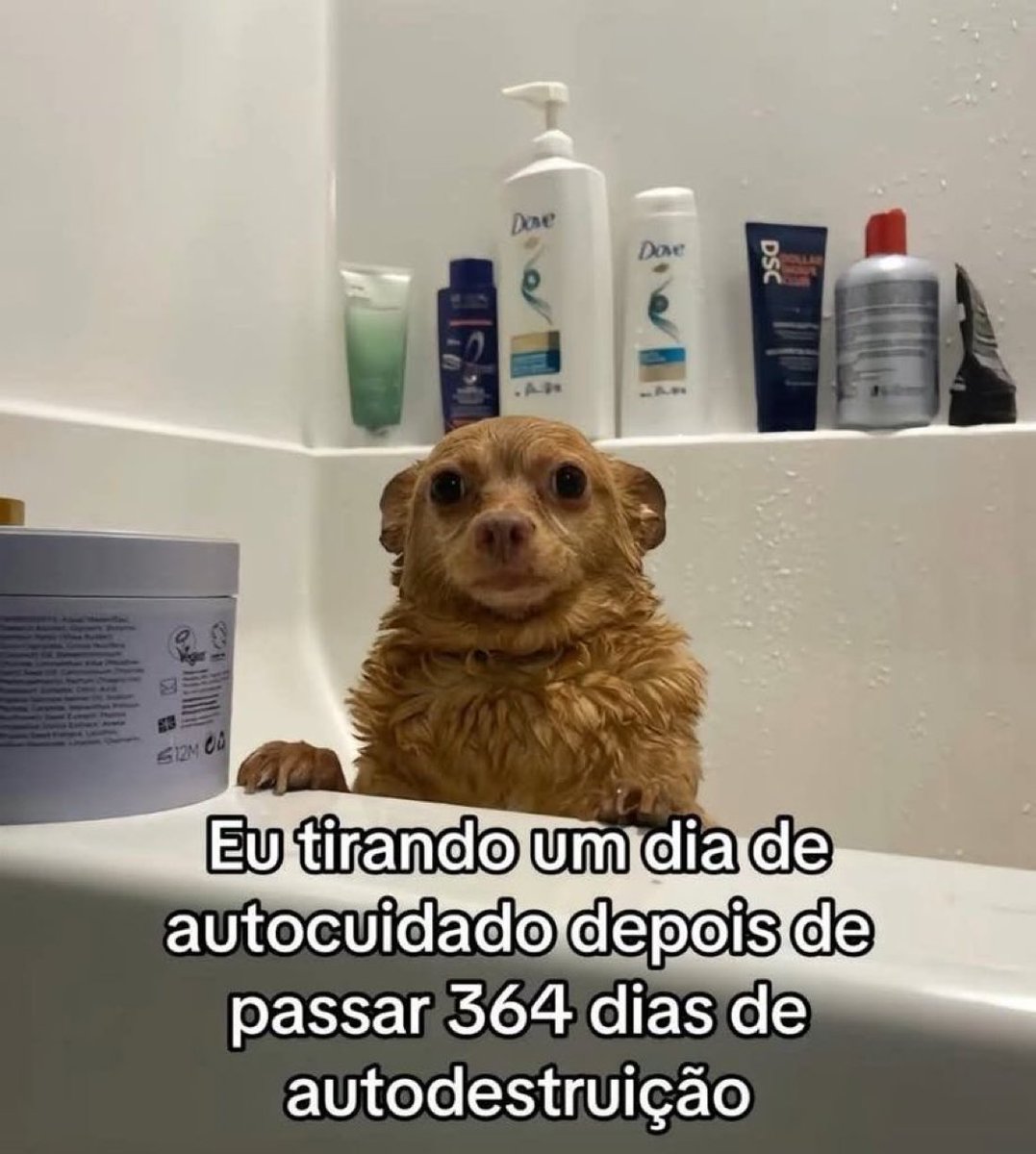 tonsdeverso's tweet photo. assim hoje https://t.co/GZEiMijWBu