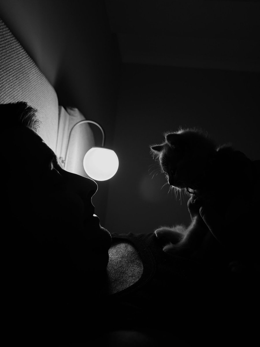 sinemkrtnc's tweet photo. Her gece uyumadan önce gördüğüm manzara hep siz olun 🥺🤍 https://t.co/2uWm9EiFyL