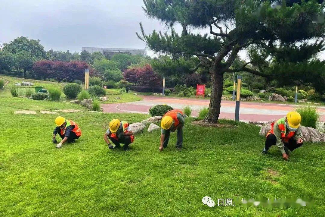 campos_val_'s tweet photo. Join our neighborhood park cleanup this Saturday 9 AM! Bring gloves u0026 energy—let’s make our green space shine together. Free snacks and a small plant for every volunteer. See you there!， https://t.co/VaUj2nnmiC