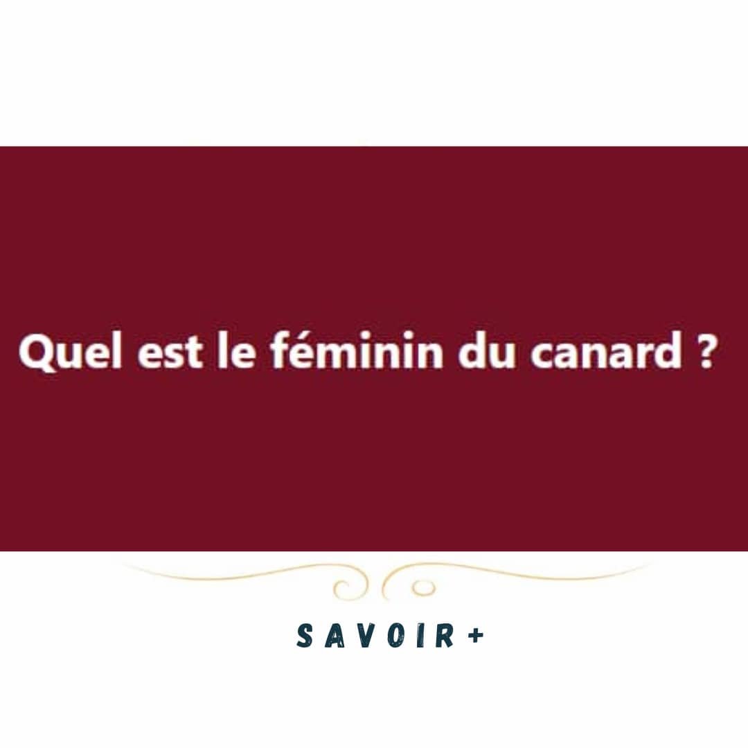 Savoirplus0's tweet photo. 👀❓❓❓📚😎 https://t.co/NnVDWNcHz1