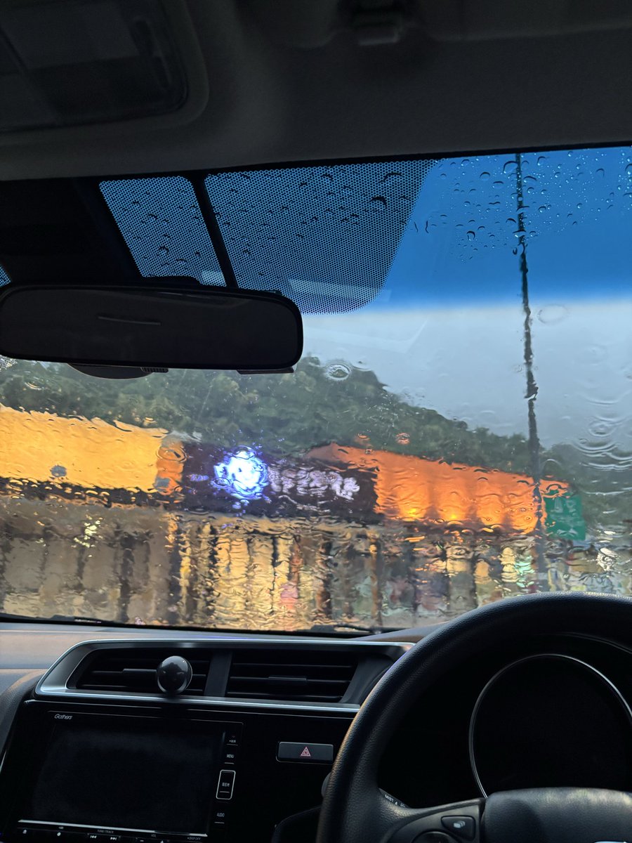 nekos_wing's tweet photo. 雨やばすぎうち https://t.co/UBKA9JFiNh