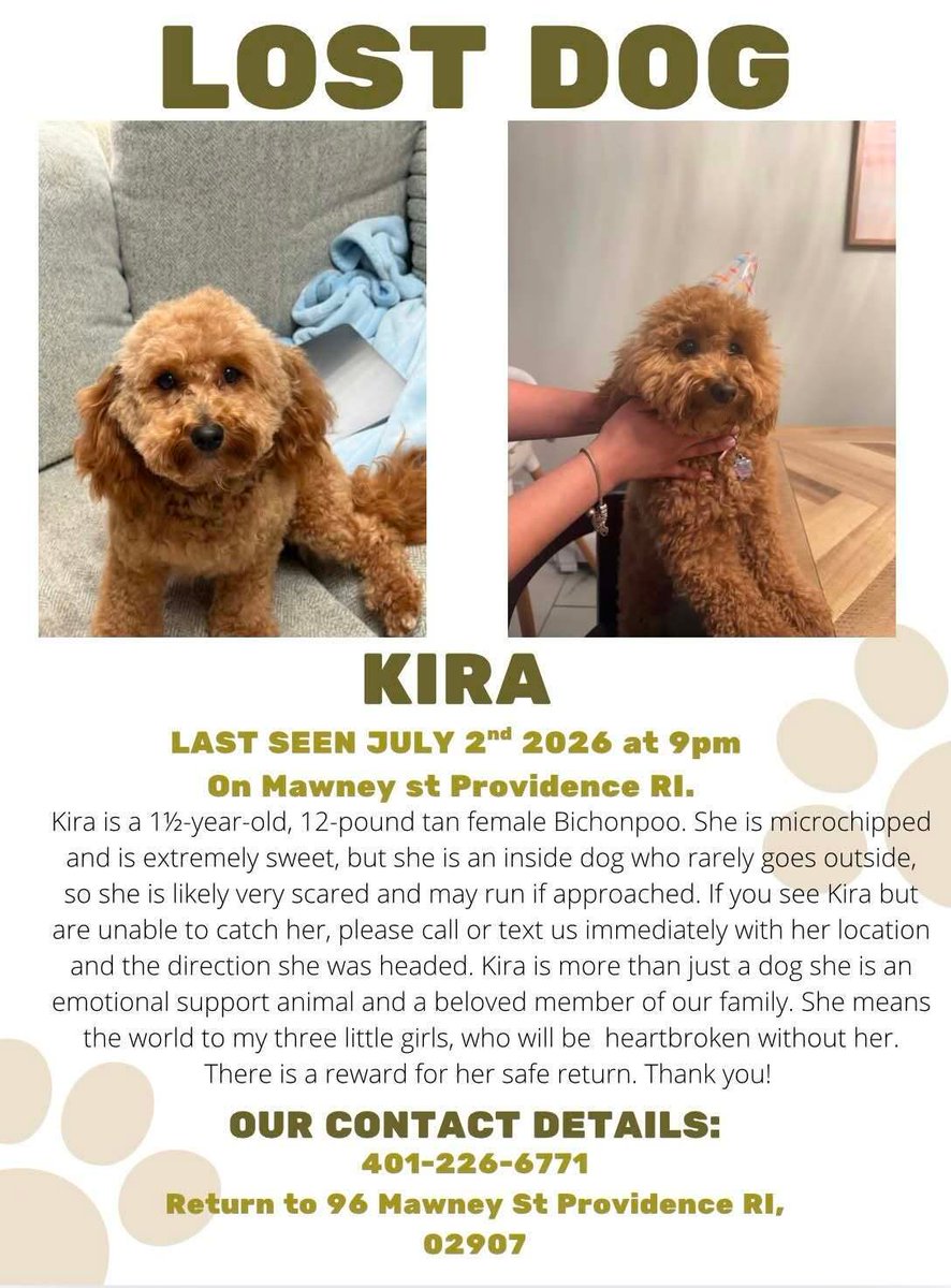 SistersInBiz's tweet photo. Missing Dog
Mawney St
#Providence #RI
Last seen Correa Auto Repair on 7/3/26
Kira
12lbs
Red
Please call 401-226-6771 asap if spotted
https://t.co/UmVlWShMx6 
#Lostdog #PVD #Rhodeisland #Oceanstate https://t.co/2LliZEujaA