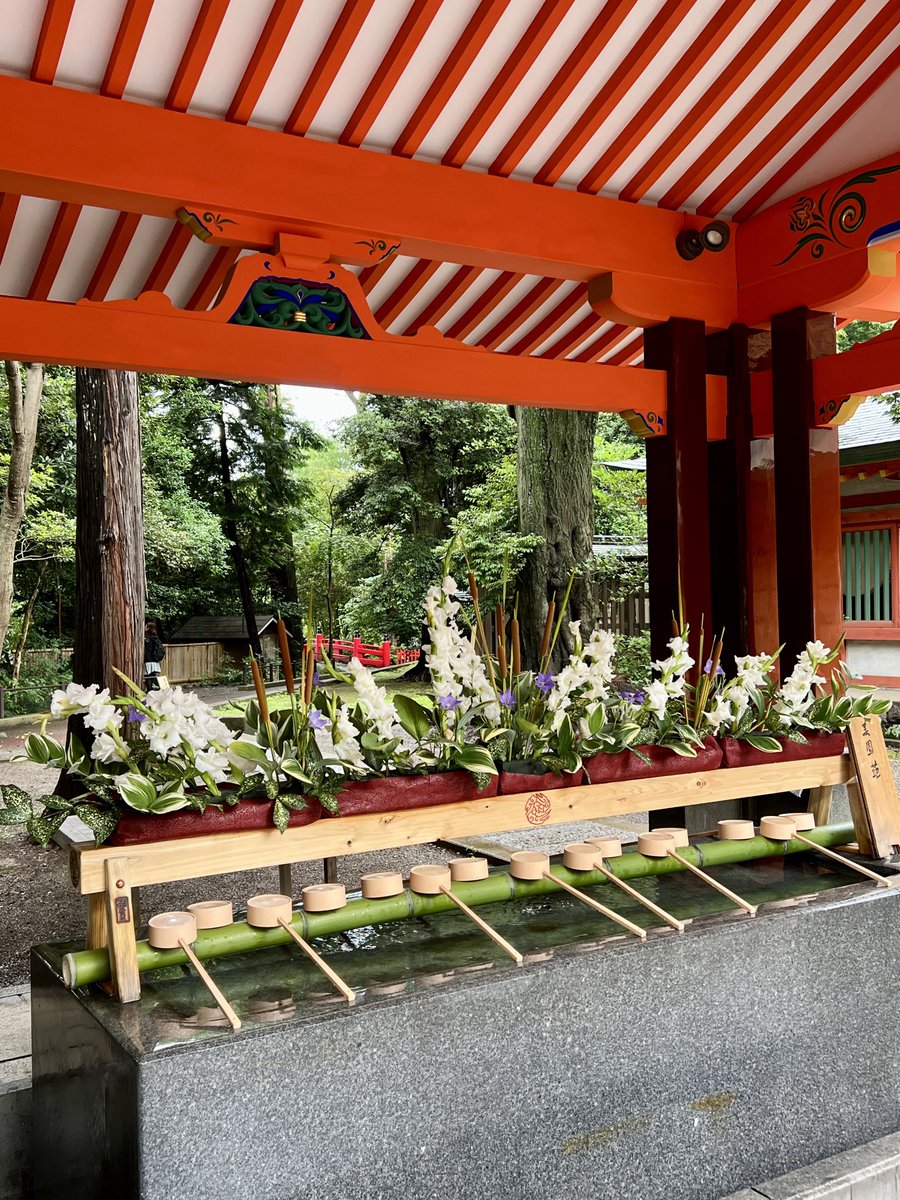 kzushimo's tweet photo. おはようございます😃

#おはようございます #goodmorning #花手水 #朝 #氷川神社 https://t.co/sc3RqSV85p