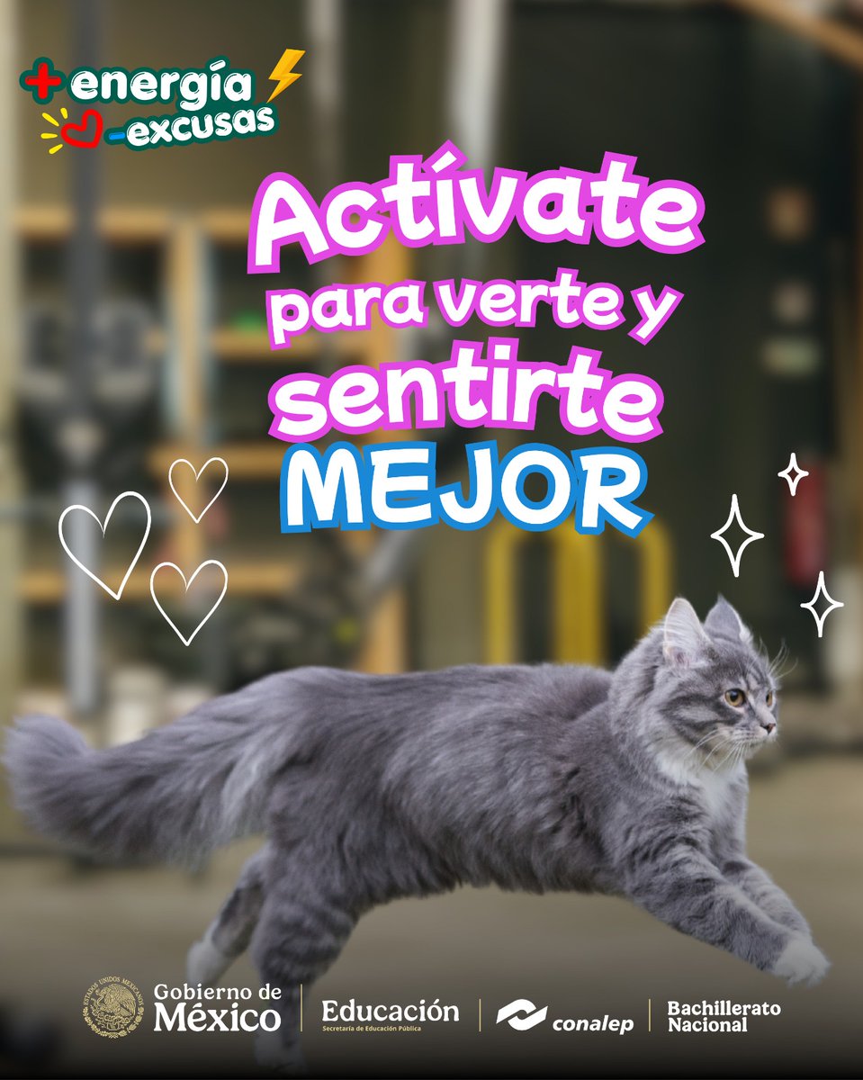 conalepAOII's tweet photo. 💪🏽✨ Pequeños pasos, grandes cambios. ✨👟

¿Quién dijo que el ejercicio es aburrido? Encuentra la actividad que ames: gym 🏋️‍♂️, fútbol ⚽ o baile 🕺💃.

¡Empieza hoy! 💚🔥

#OrgullosamenteCONALEP #MásEnergíaMenosExcusas https://t.co/EAZPL0GXvv