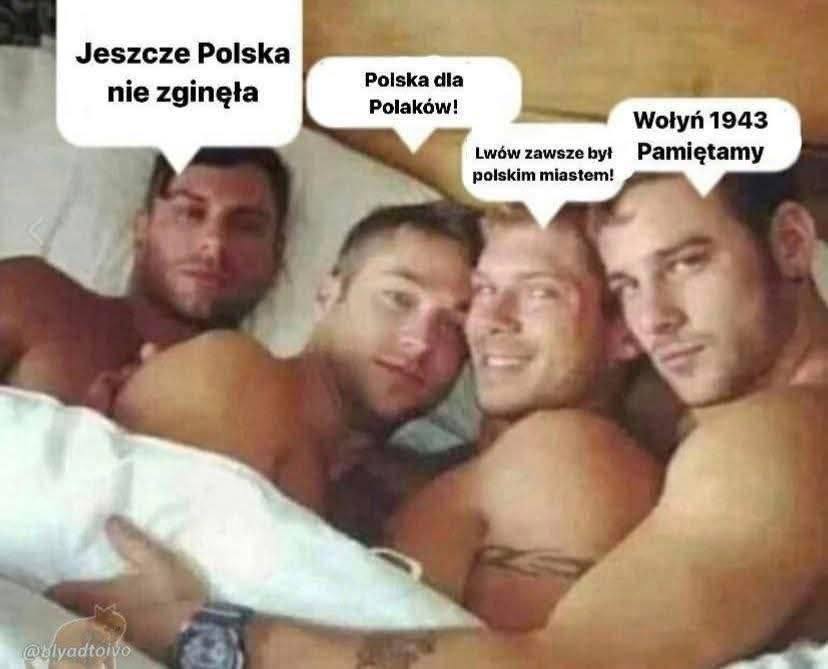 CatTimy tweet media