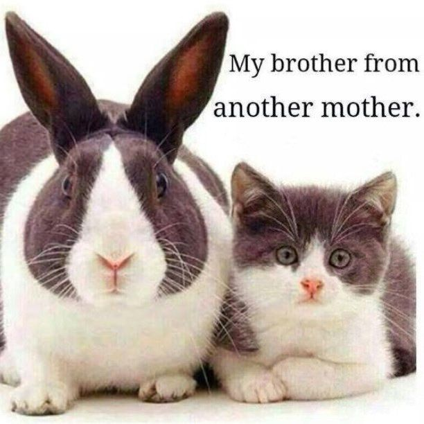 FarLeftNews's tweet photo. @prolifefrenchie 😀 https://t.co/FnJZeJfKDb