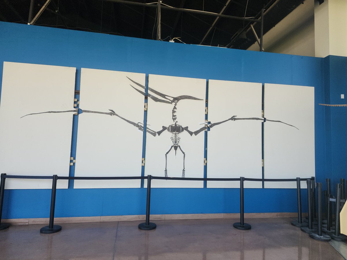 Rotten__Artist's tweet photo. went to Colorado a couple of weeks ago and got to check out the Rocky Mountain Dinosaur Research Center!!
my favorites outside of the ocean fossil room have gotta be the Pteranodons, Nyctosaurus, and Torosaurus! https://t.co/MwtXETsJGw