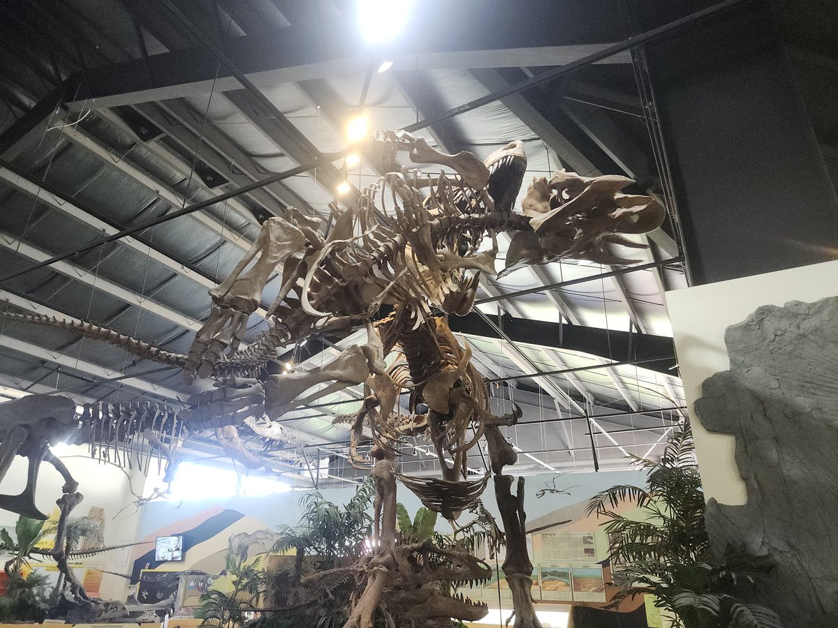 Rotten__Artist's tweet photo. went to Colorado a couple of weeks ago and got to check out the Rocky Mountain Dinosaur Research Center!!
my favorites outside of the ocean fossil room have gotta be the Pteranodons, Nyctosaurus, and Torosaurus! https://t.co/MwtXETsJGw