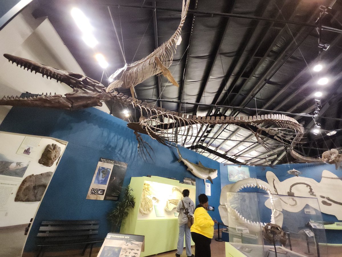 Rotten__Artist's tweet photo. absolutely adore the Tylosaurus rex💕 huge fella https://t.co/iuBZSvmaS3