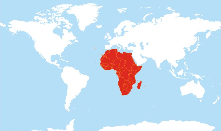 promisecarried1's tweet photo. And if it ever gets to this stage in the final,
I am TEAM AFRICA 🤝

#worldcup2026 https://t.co/aG0GPjfK3t