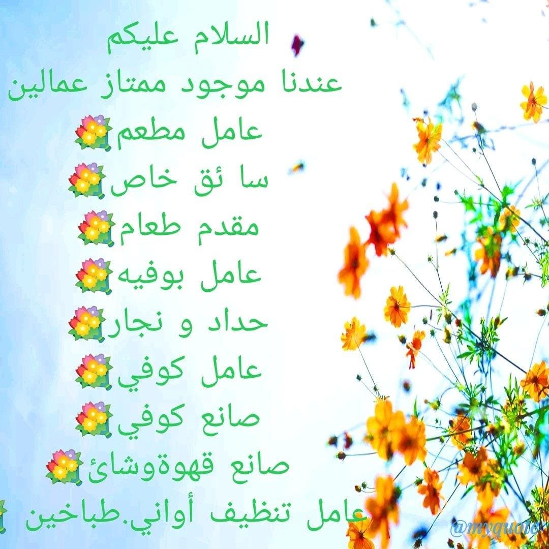 MAstkhdam's tweet photo. استقدام الهند أفراد /مؤسسات/سائقين/عمال نظافة/عمال استراحات و أي مهنه رجاليه فقط او خلال ٢٠ يوم إن شاء الله..
رقم الوتسابhttps://t.co/HNoB17mTAm https://t.co/JEFJKNR3N7