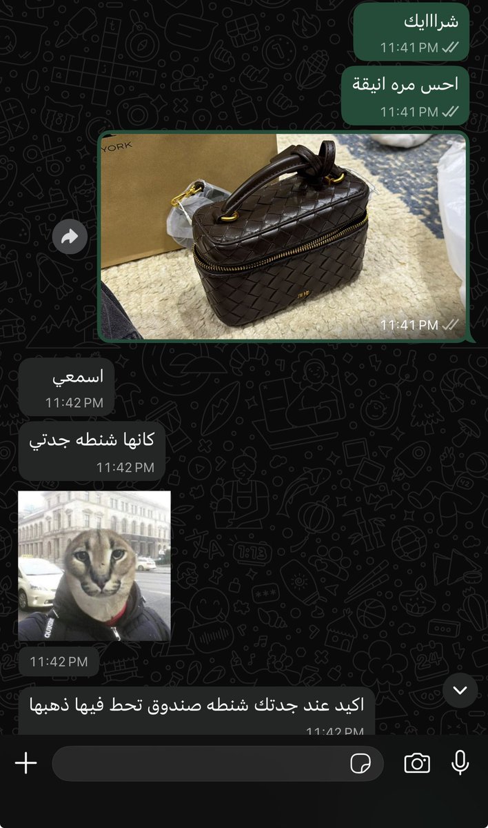 1wiishbone's tweet photo. و بعد بنت خالتي تقول كانها شنطه باكستاني
تمام https://t.co/BsHZZJtm4x