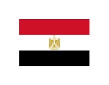 DrAliDAlanazi's tweet photo. الف الف مبروك لمنتخب #مصر التأهل للدور ال16 في مونديال #كاس_العالم https://t.co/eKp14uOjPH