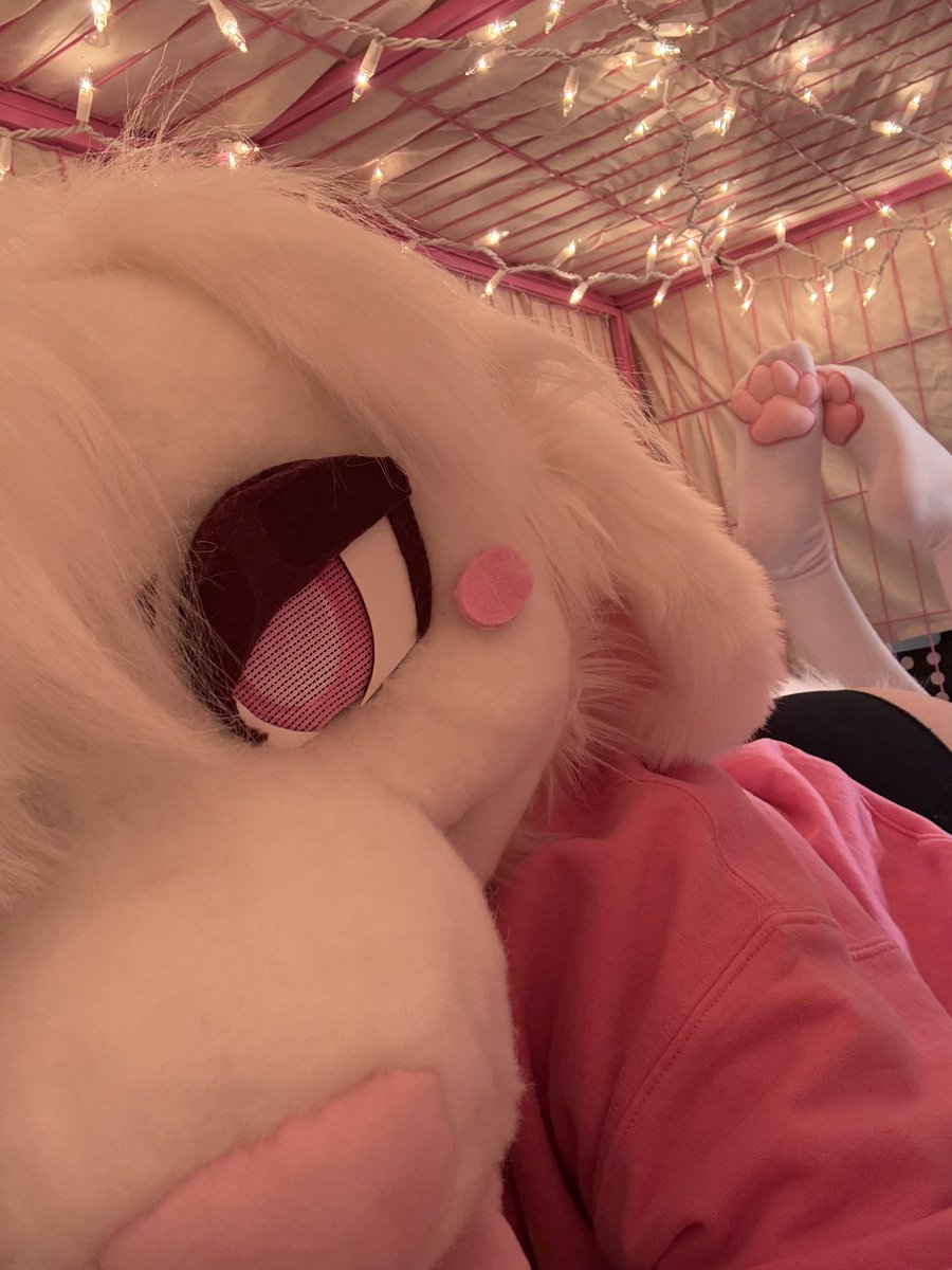 bunsmutt's tweet photo. wuff https://t.co/l1e4oD3Wlg