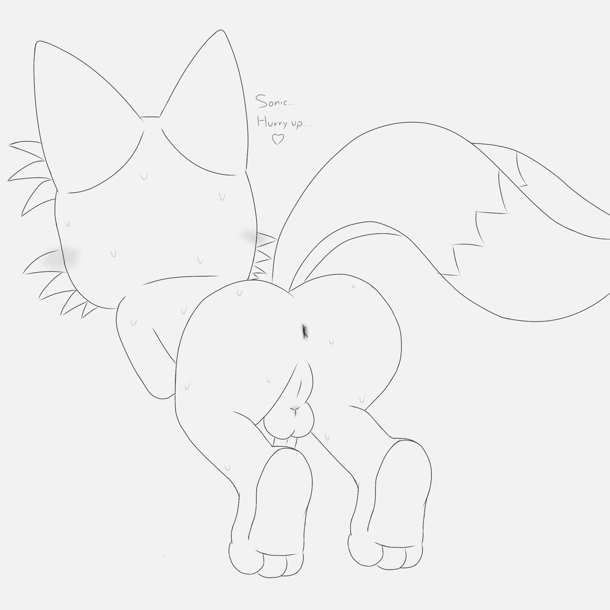 SabalitoLM's tweet photo. Tails sketch https://t.co/UehiIW8YIv