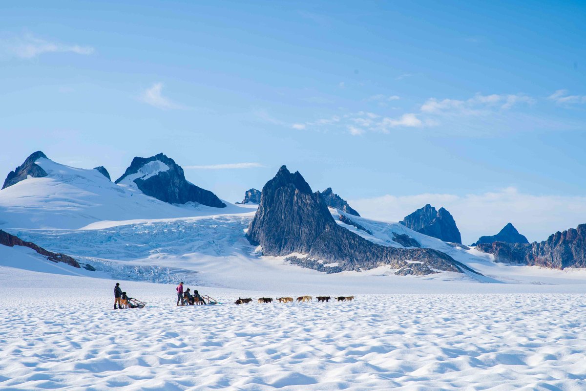 sunset_escapes's tweet photo. ❄️ Discover Alaska like never before with a Royal Signature Excursion! Enjoy expert local guides who bring the wilderness to life, breathtaking helicopter views over Juneau, and unique culinary experiences featuring local King Crab. Contact me to book! 🦀🚁 #RoyalCaribbean https://t.co/58LQEPJF3w