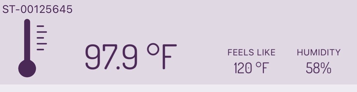 PaFiinsFan's tweet photo. My weather station, it truly does feel like 120, stay safe people! https://t.co/TxQrlnCFMM