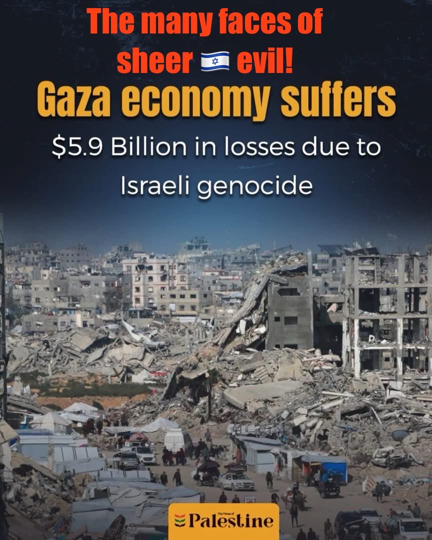 MrLeNadj's tweet photo. @ChaskelBennett @nytimes #ZioLies perpetuated by #ZioLiars will never make lies truths. How about conducting rescue missions in #Gaza, which was destroyed by the depraved 👿 ‘army’ of the #genocidal junta 🇮🇱? #Hypocrites!
#Hasbara went down the #ToileSbara! https://t.co/vVpaRovZti
