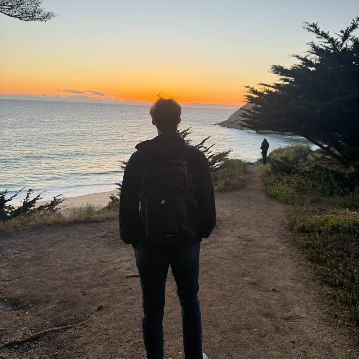 Matt Steele tweet media