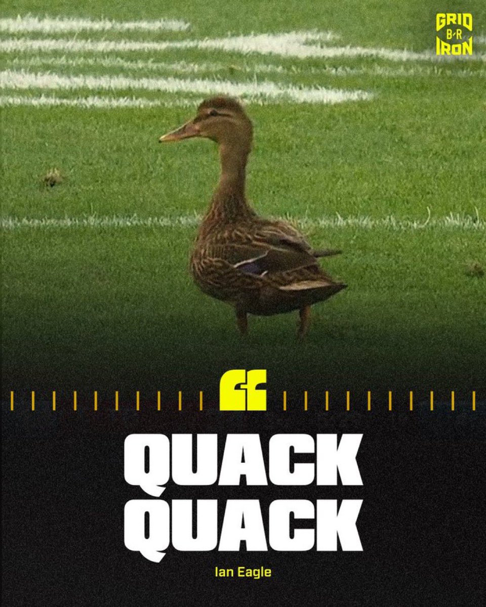 Autzen_Zoo's tweet photo. @CoachDanLanning https://t.co/K3IIdDuJ7y