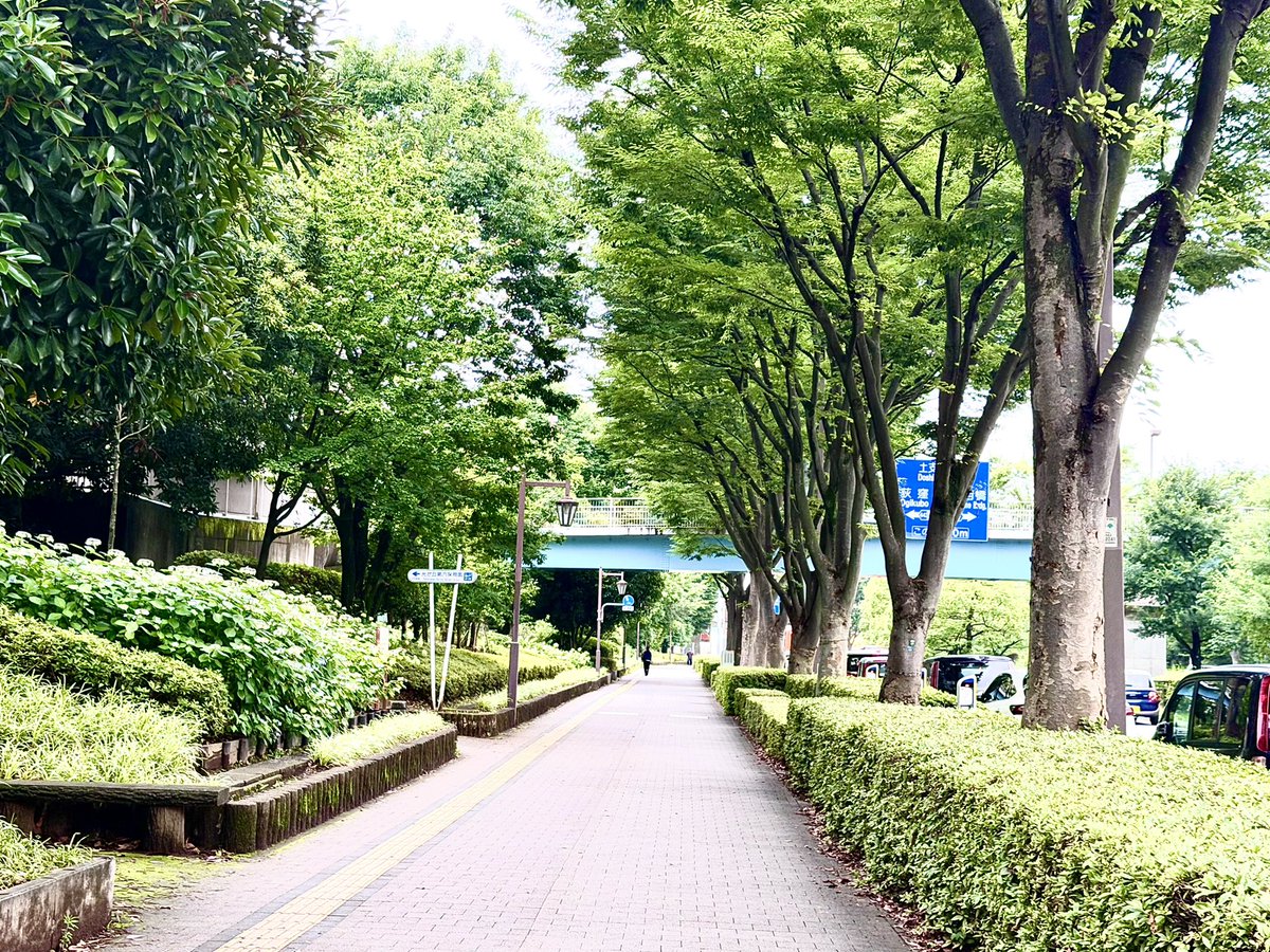 tomotaro_japan's tweet photo. おはようございます😃
土曜日の朝
空を見上げるとどんよりとした曇り空☁️
スッキリしないのだが日中はそれほど気温が上がらないとの予報💁‍♂️
少し眠いが1日目スタートは部屋の掃除から🧹
気合い入れて頑張りましょうネ👍
今日も宜しくお願い致します🌈😊🎈 https://t.co/QEcnC1dsiY