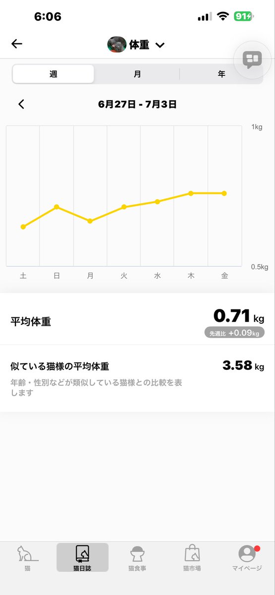 Lucca0625's tweet photo. Hello Cat’s World！🐈‍⬛

良く食べて
良く遊んで
良く寝って

順調に成長してるなぁ✌️

#保護猫ルッカ
#猫好きさんと繋がりたい https://t.co/gwf12B0QCX