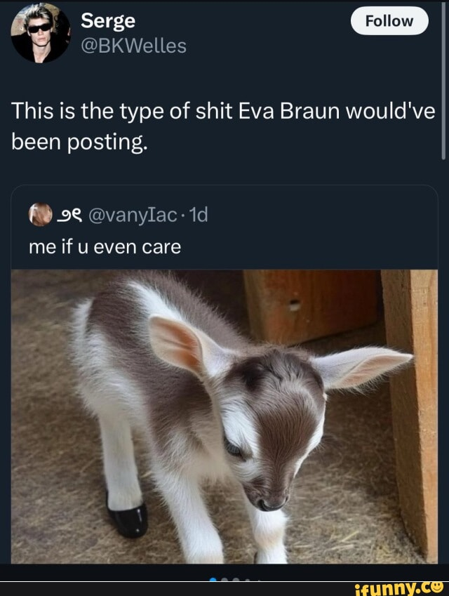 lionel_trolling's tweet photo. one of the best tweets imo https://t.co/9KPXmMUEVr
