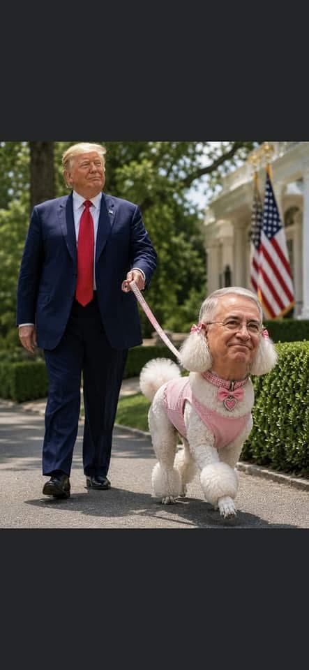 MseMartha's tweet photo. @RicardoBSalinas @rochamoya_ @adan_augusto @InzunzaCazarez @lopezobrador_ La Perrita de Trump ladre y ladre y sus cuates “LOS VERDADEROS NARC🤬S”

Ah y HDP 👉🏻 HOMBRE DE LA PERRITA DE TRUMP https://t.co/kRDRrT5DFg